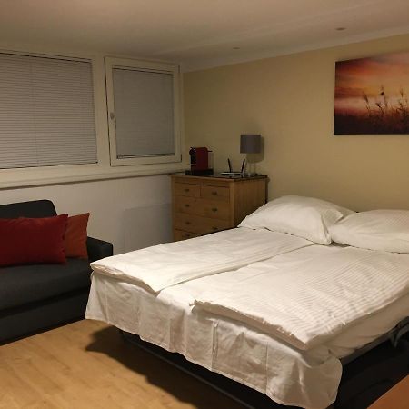 Cosy Flat In The Quiet Area With Own Garden, Free Parking And Direct Public Transport Link To The Centre Leilighet Wien Eksteriør bilde