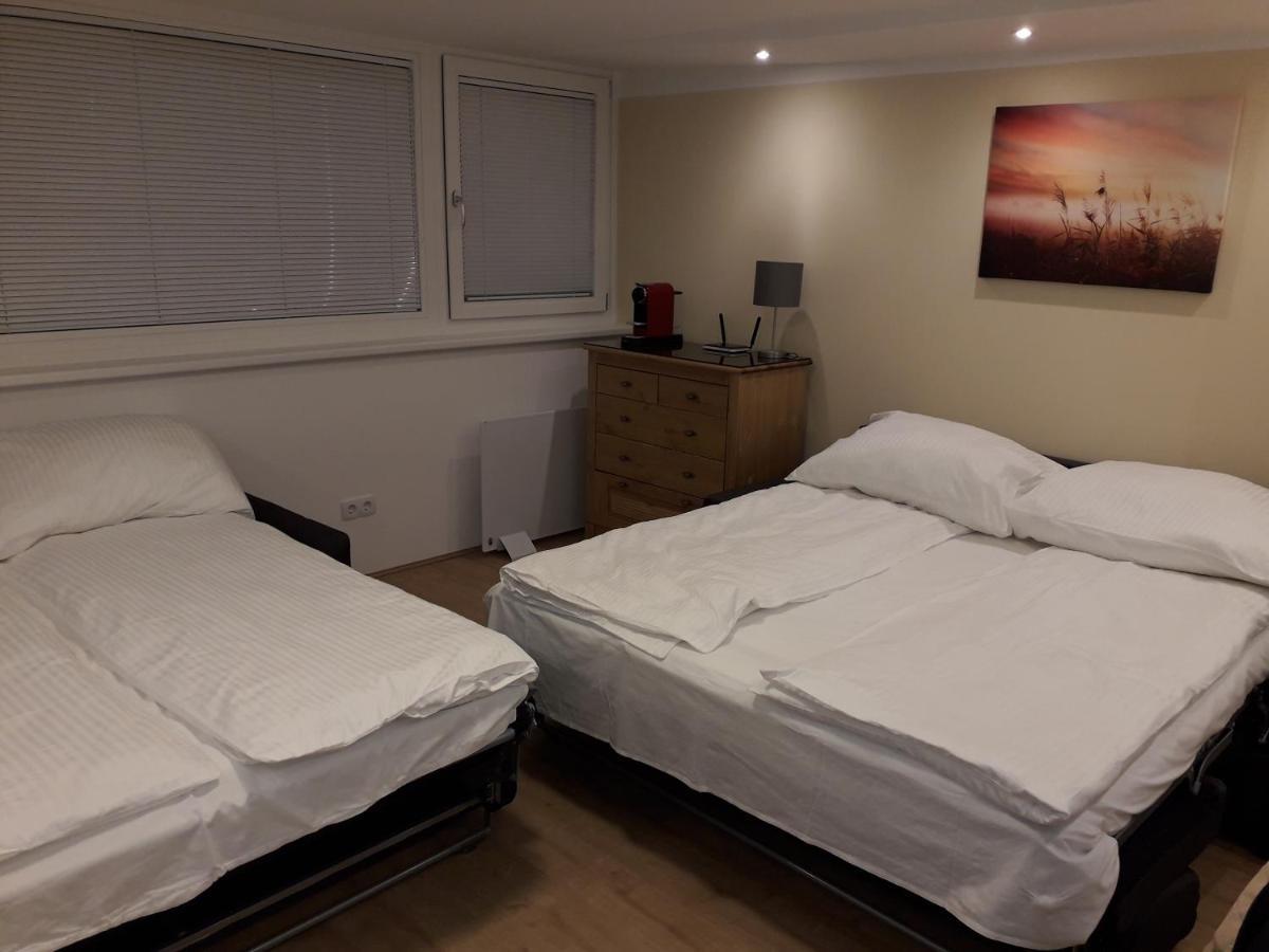 Cosy Flat In The Quiet Area With Own Garden, Free Parking And Direct Public Transport Link To The Centre Leilighet Wien Eksteriør bilde
